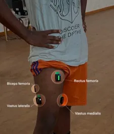 Muscle group analysis visualization