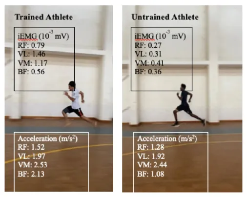 Comparative results between trained and untrained athletes