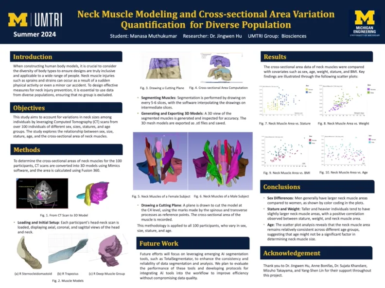 Research poster on neck muscle modeling
